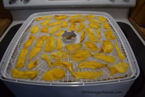 How To Make Dried Mangoes In A Dehydrator