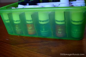 DIY Essential Oil Case for Only $1