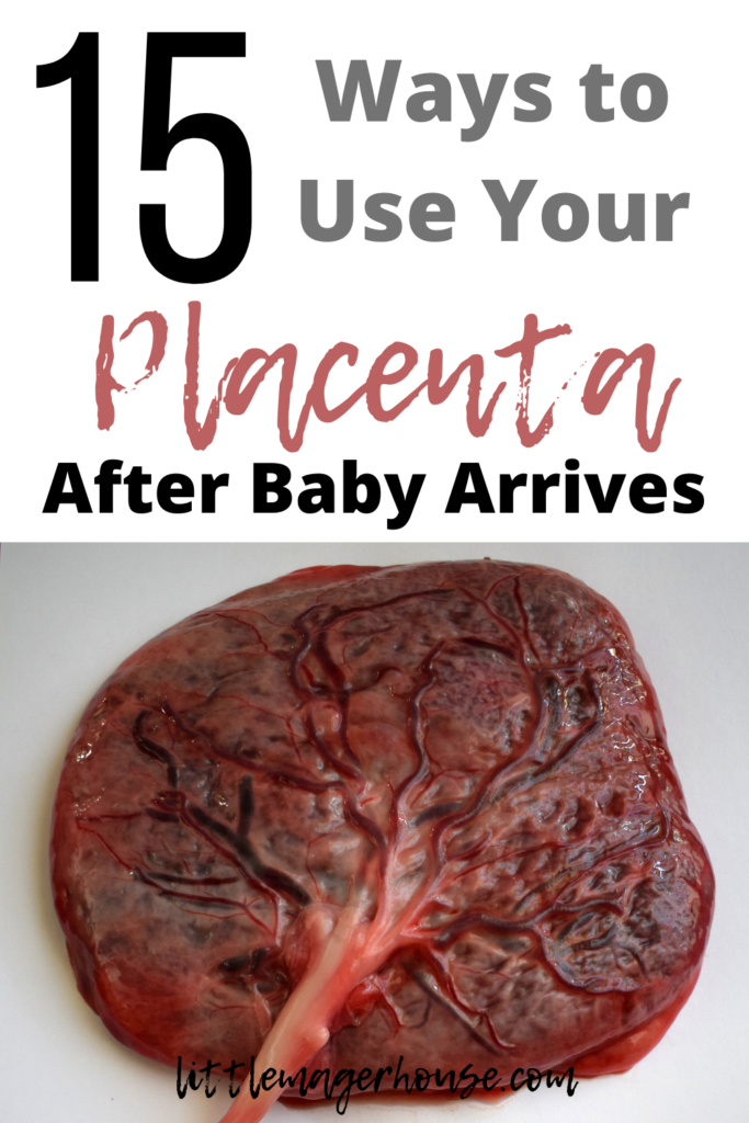 placenta uses after birth