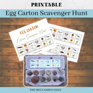 printable egg carton nature scavenger hunt