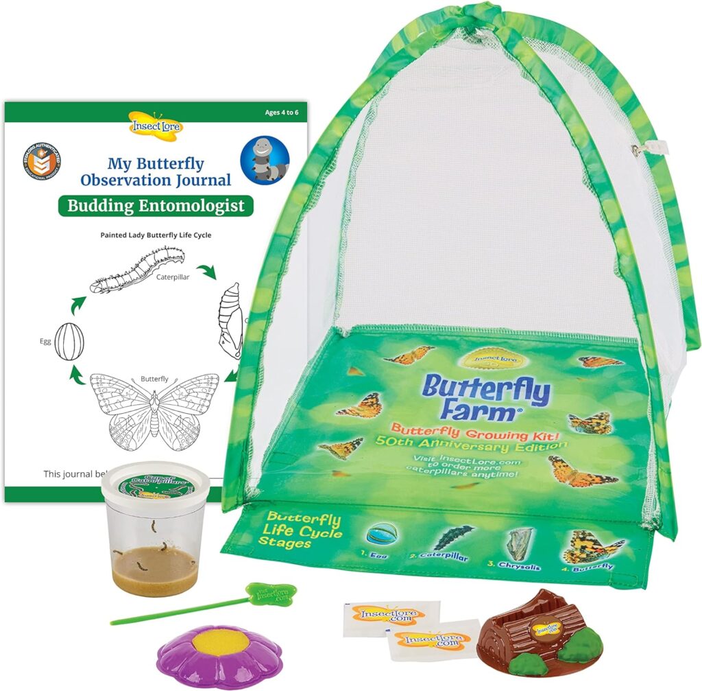 Butterfly Kit with Live Cup of Caterpillars