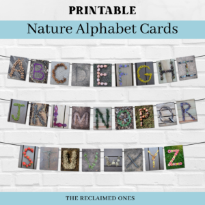 printable nature alphabet cards