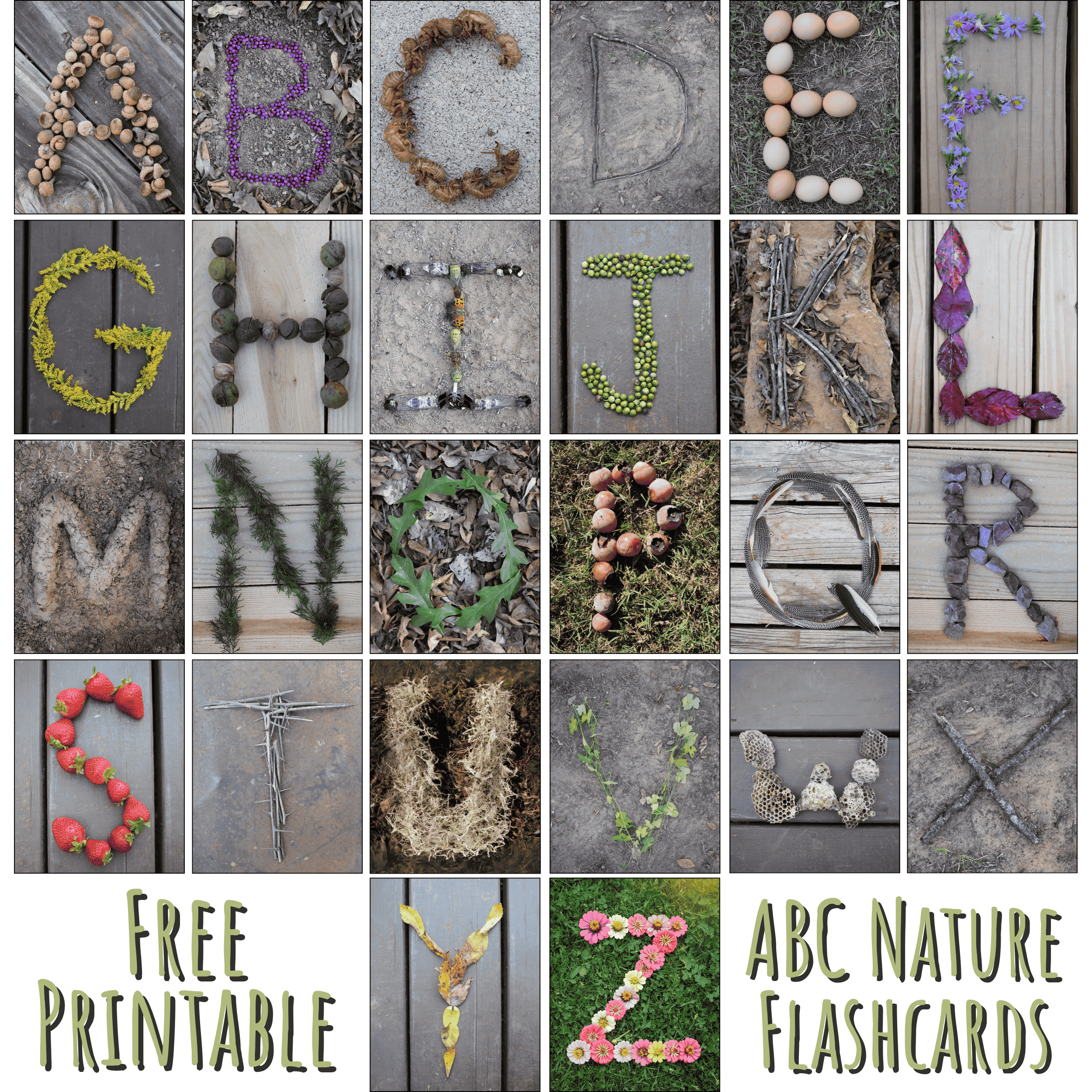 free printable abc flashcards - nature-themed